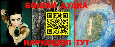 мдпв Обь