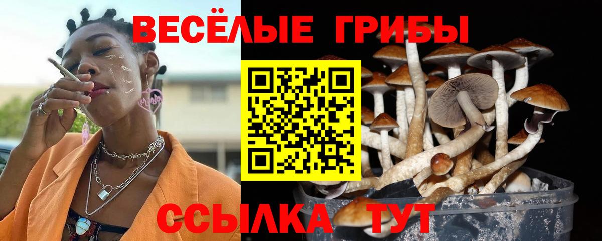 Галлюциногенные грибы мицелий  Вход с VPN  Среднеуральск 